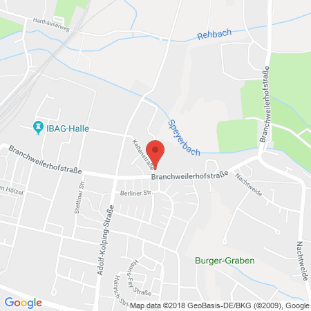 Kartenansicht Autohaus Holz GmbH Neustadt