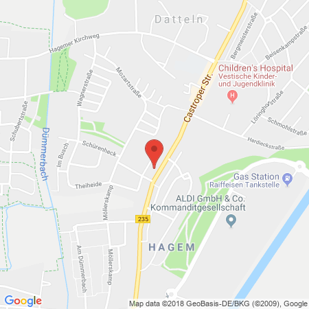 Kartenansicht Freie Tankstelle