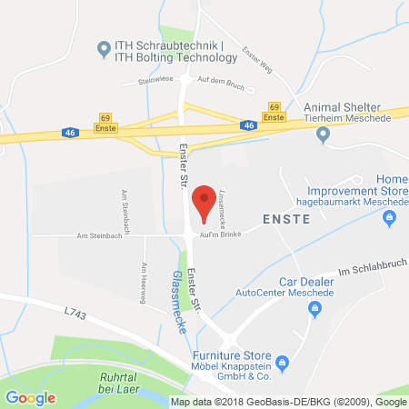 Kartenansicht Tankstelle Grüne