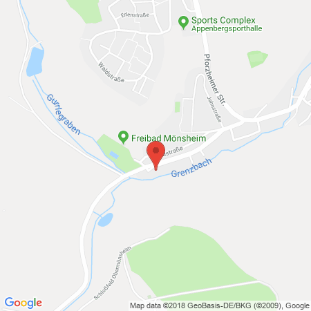 Kartenansicht Autohaus Richt Ohg Tankstelle