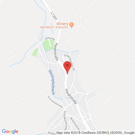 Kartenansicht AVIA Xpress