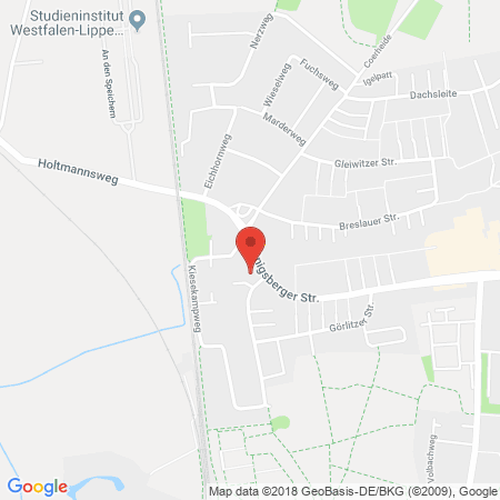 Kartenansicht bft Station Ulrich Plaumann