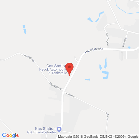 Kartenansicht freie Tankstelle