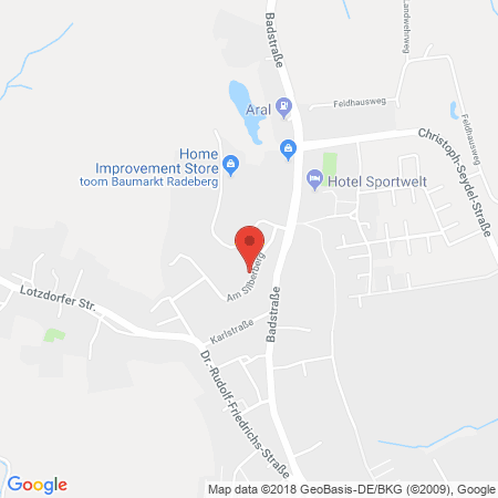 Kartenansicht Autohaus Seifert (Renault)