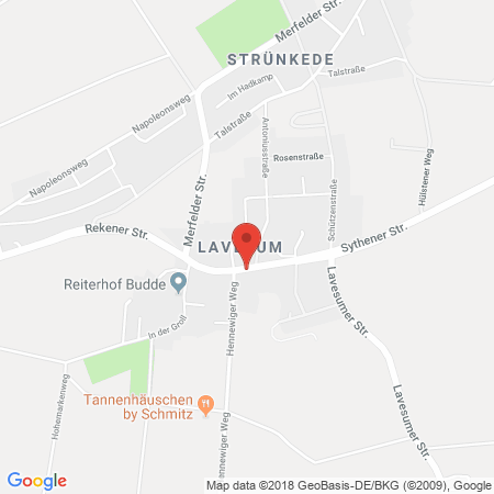 Kartenansicht AVIA-Tankstelle