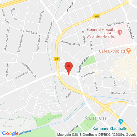 Kartenansicht BFT Tankstelle Frank Schmidt