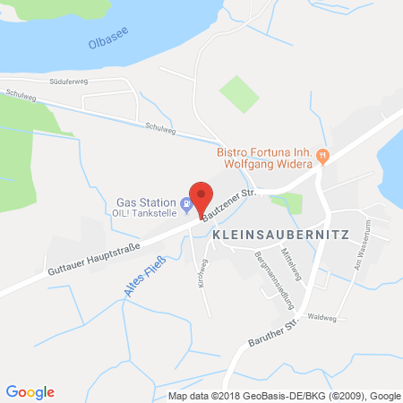 Kartenansicht OIL! Tankstelle