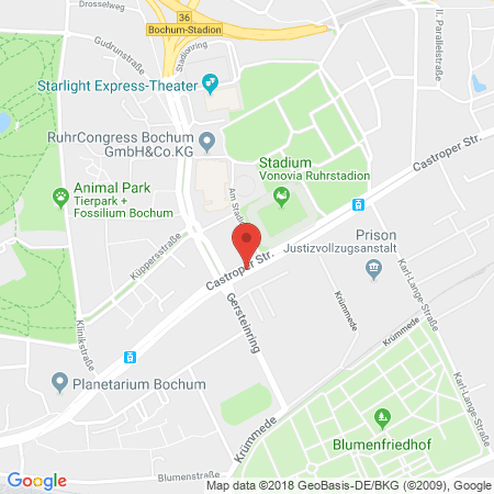 Kartenansicht GO Tankstelle (tamoil)