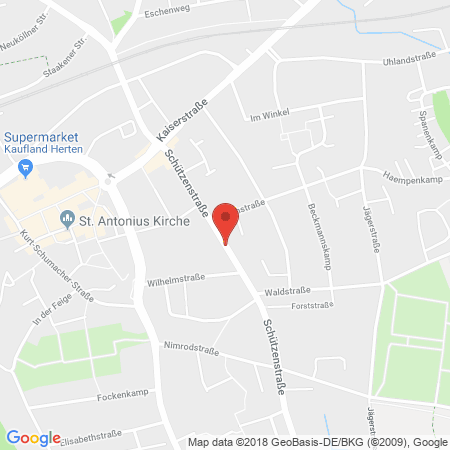 Kartenansicht Esso Station