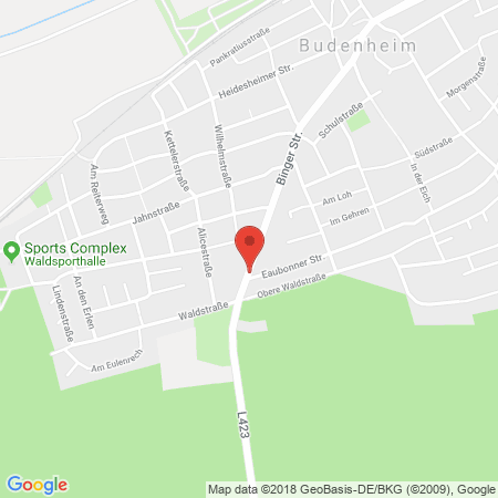 Kartenansicht Esso Station Georg Bauer