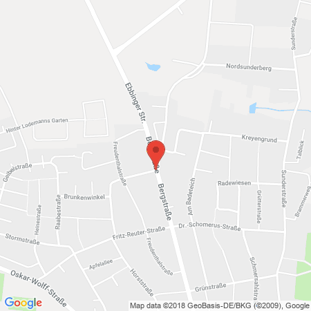 Kartenansicht Hoyer Tankstelle