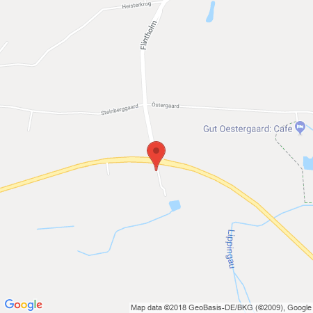 Kartenansicht BFT Tankstelle