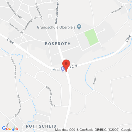 Kartenansicht Aral Tankstelle