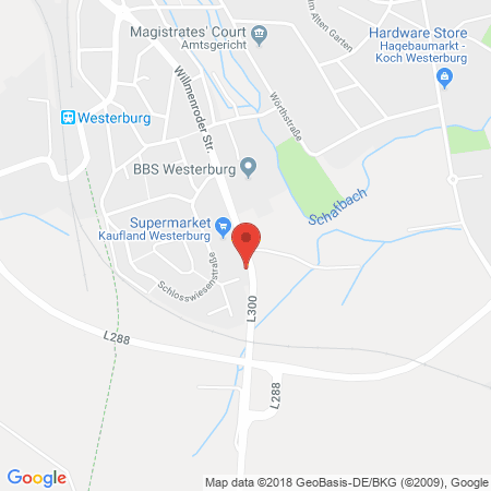 Kartenansicht Aral Tankstelle