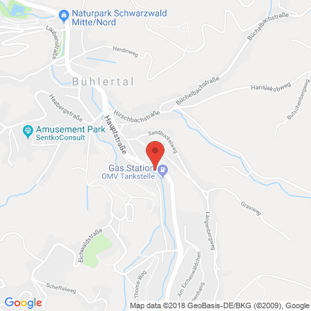Kartenansicht OMV Station