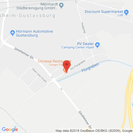 Kartenansicht Esso-Station Adigüzel