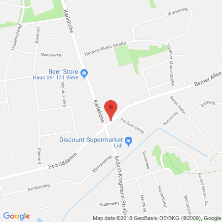 Kartenansicht Esso Station