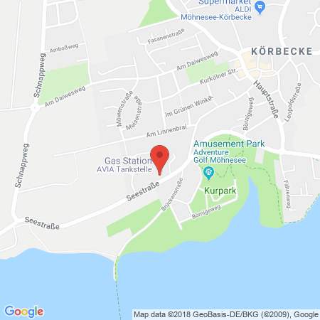 Kartenansicht Avia-Tankstelle