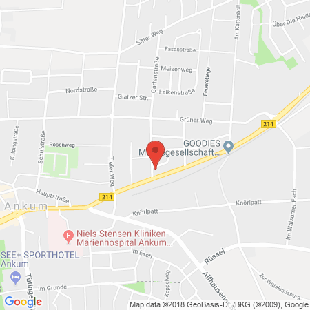 Kartenansicht BSD Tankstelle