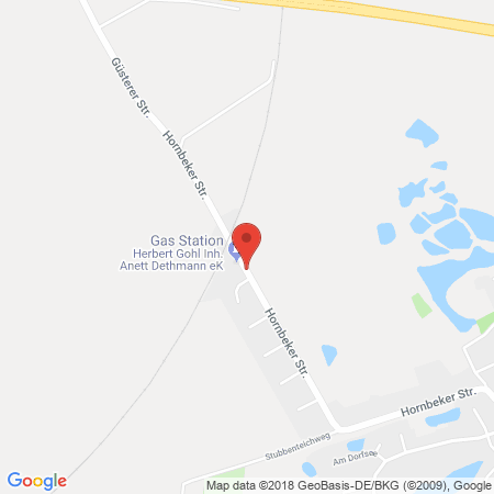 Kartenansicht Freie Tankstelle Güster, Herbert Gohl