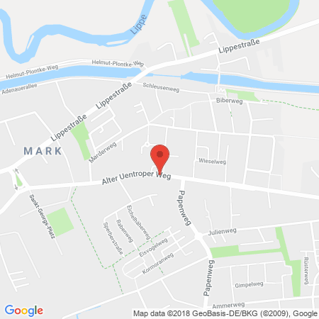 Kartenansicht OIL Tankstelle