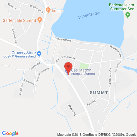 Kartenansicht Autogas Summt