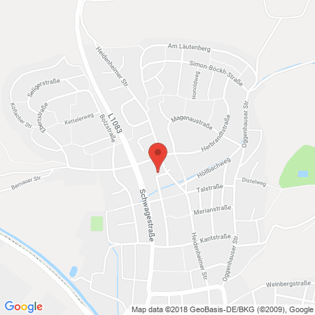 Kartenansicht Autogas Giengen