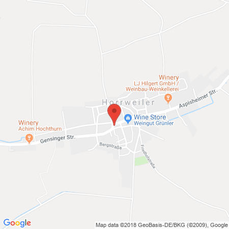 Kartenansicht Globus Gensingen