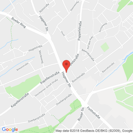 Kartenansicht Aral Tankstelle