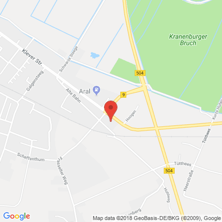 Kartenansicht Freie Tankstelle Tank und Shop
