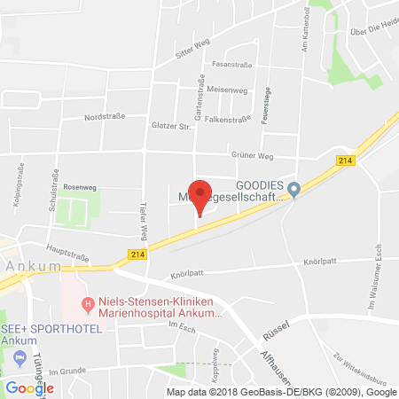 Kartenansicht freie Tankstelle