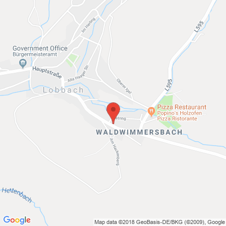 Kartenansicht Lenz Energie AG