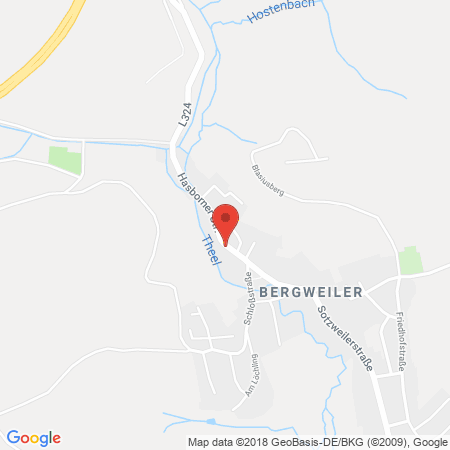 Kartenansicht Auto Buchholz