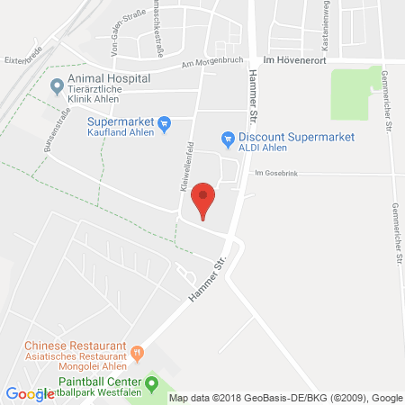 Kartenansicht Raiffeisen